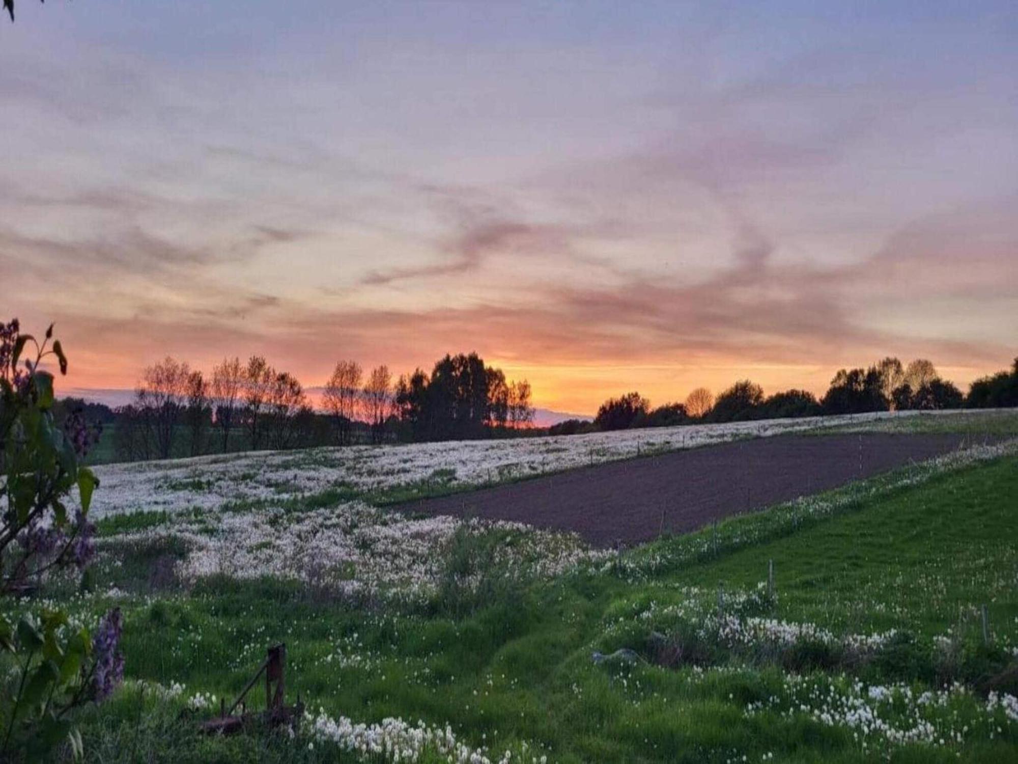 Fåborg Lysbjerggard B&B 외부 사진